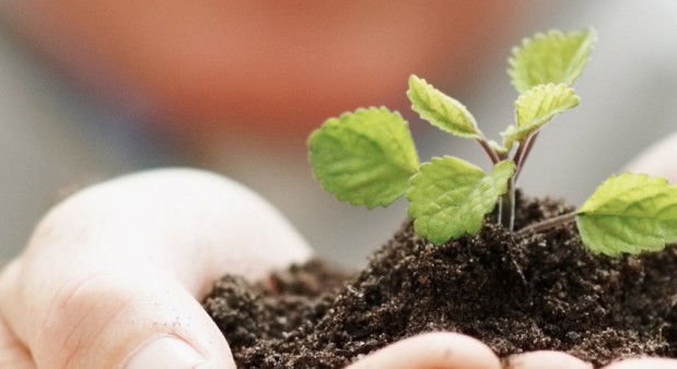 Nuevo Security helpt u groeien